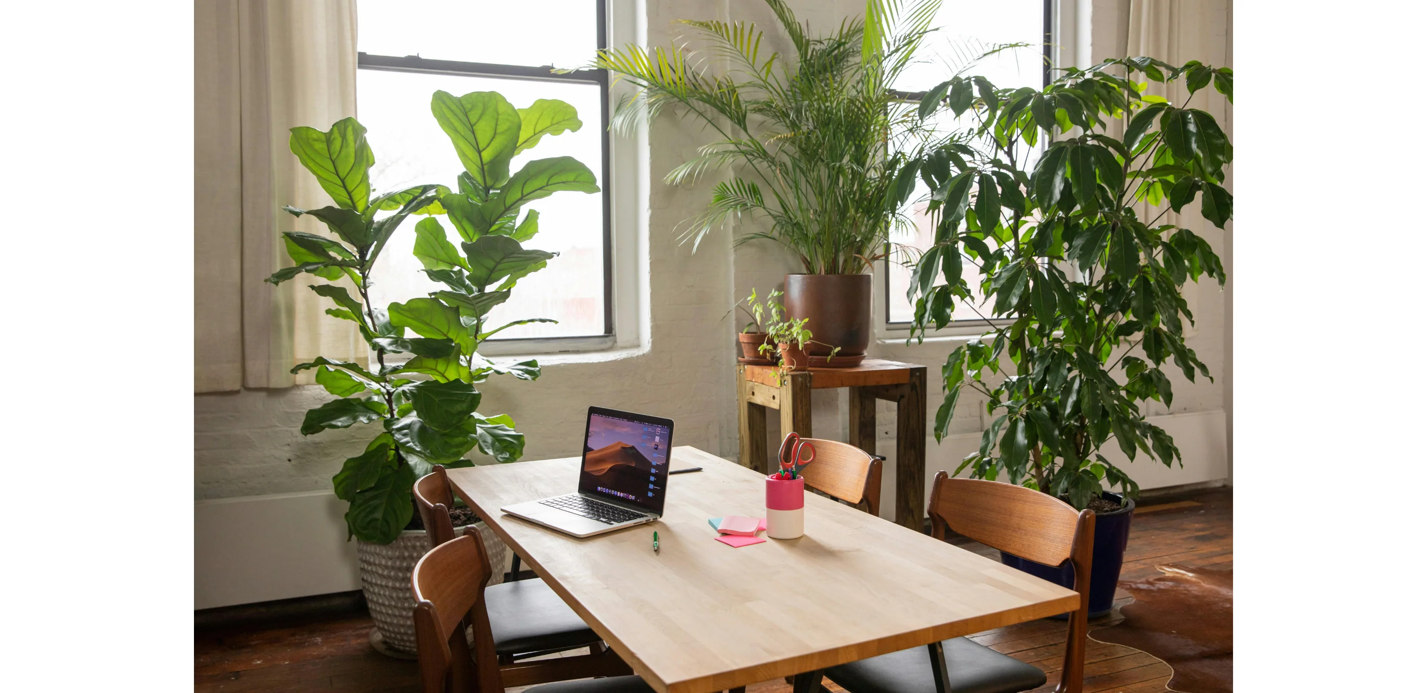 Minimalist desk with plants and natural light representing balanced daily routines